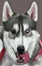 Mishka Portrait 