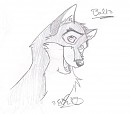 Balto Sketch