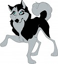 Steele