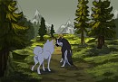 A walk in the woods