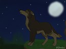 Midnight call
