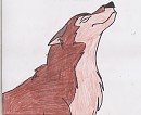 Aleu
