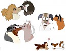 KISSKISSKISS