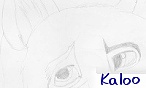 Kaloo