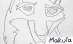 makula