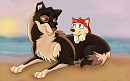 Togo & Belle
