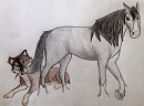 There's a Togo on my tail! 