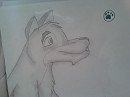balto X2