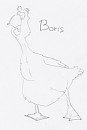 Boris ♥