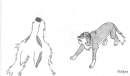 Agnou et Balto (2)
