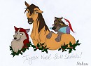 Joyeux No�l 2011 Shal' (colo)!