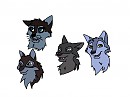 Niju and his sibs