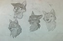 Niju and his sibs *traditional*