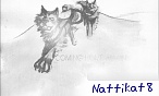 NattiKay