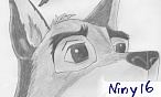 Nirka