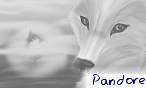 pandore