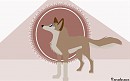 Aleutian