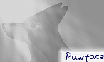 pawface