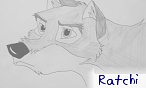 ratchi
