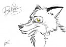 balto croquis