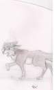 un loup  