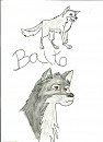 Balto