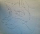 Reproduction Balto