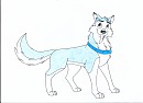 Kodi is Tusky Husky