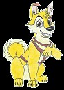 Puppy Kaltag