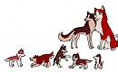 The Red Family