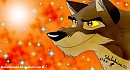 Balto Line up 