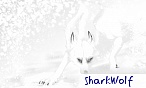 NanaSharkWolf