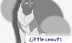 little.snouts