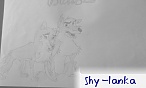Shy lanka