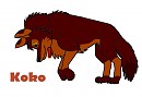 Koko