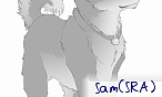 Sam(SRA)