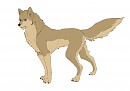 Alue