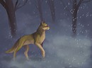 balto in snow