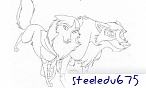 steeledu675