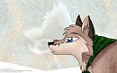 Walking With Spirits