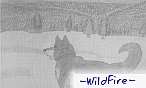 -WildWolf-