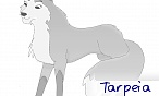 tarpeia
