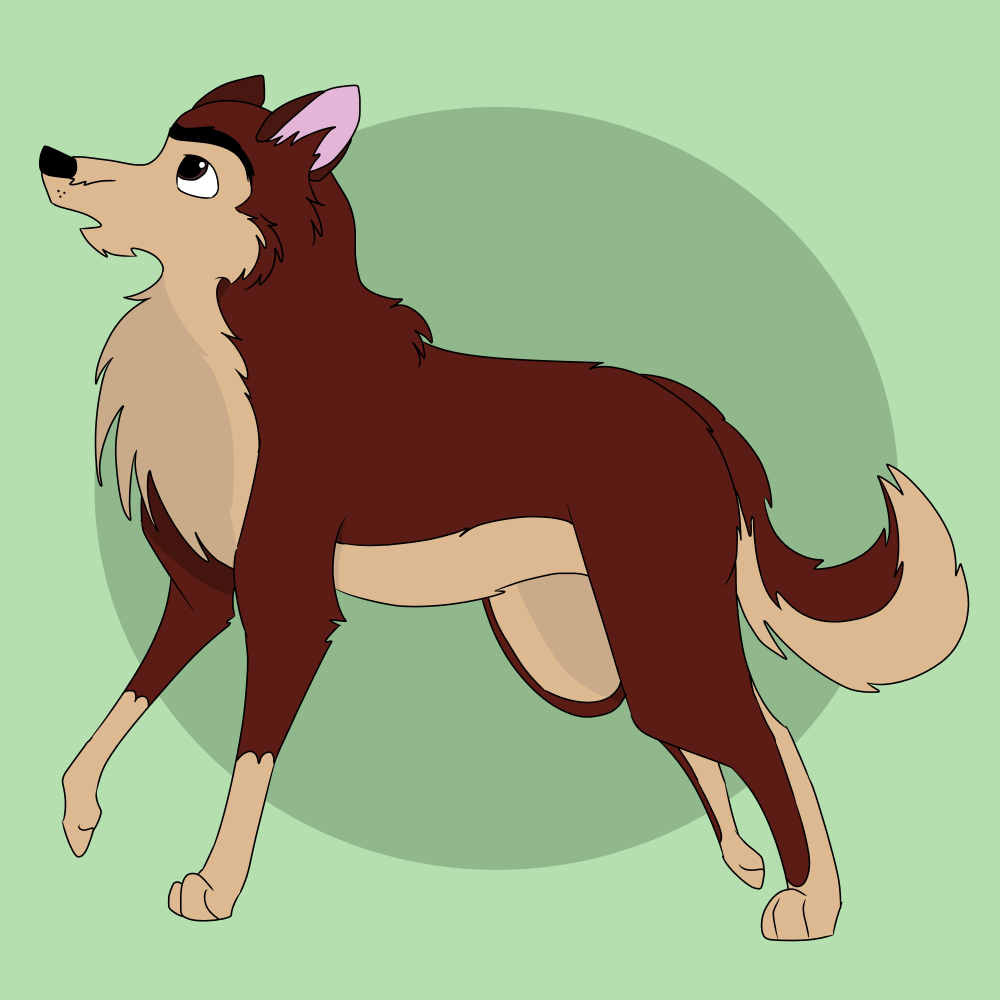 Bingo, it's Dingo