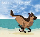run spot run