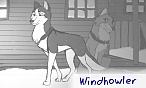 windhowler