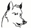 A Thousand Strokes (Animation) :)