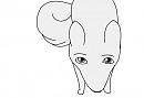 Aniu