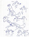 Gift for catwohas14tails