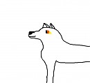 aniu