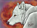 The White Wolf